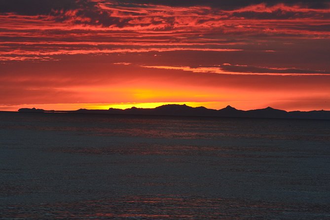 Magical Whales in the Midnight Sun | from Reykjavik - Price and Value: What $105 Buys You (and What It Doesn’t)