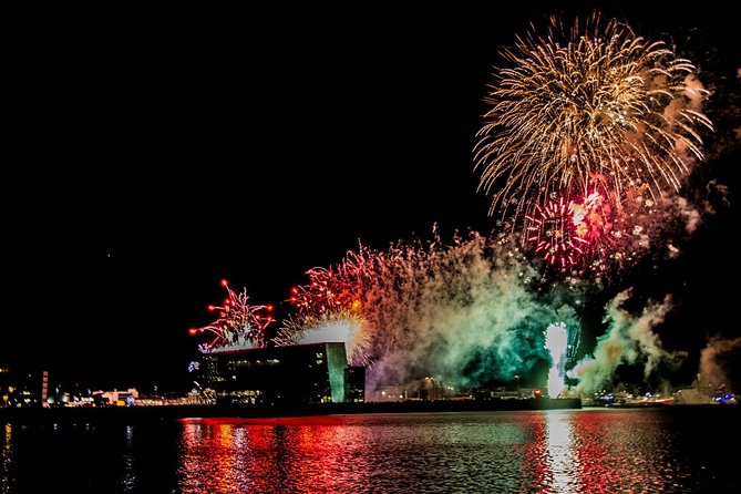 New Year's Eve Fireworks Cruise in Reykjavik - Why this Reykjavik fireworks cruise works for New Year’s Eve
