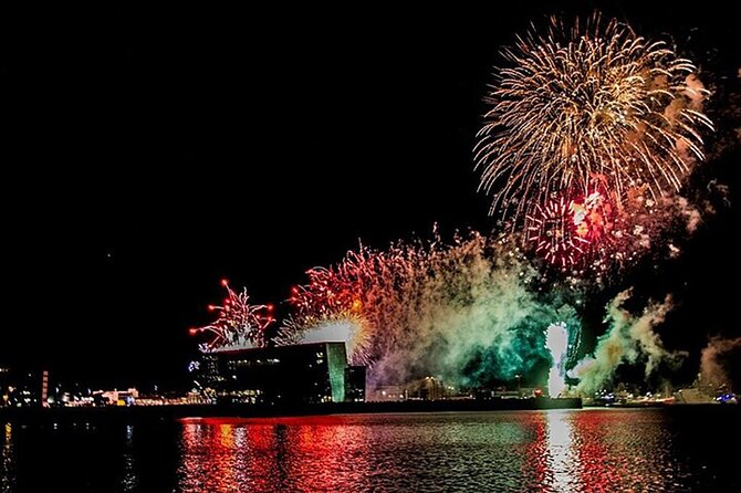 New Years Fireworks by Boat from Reykjavik - Timing and cold reality: dress like you mean it