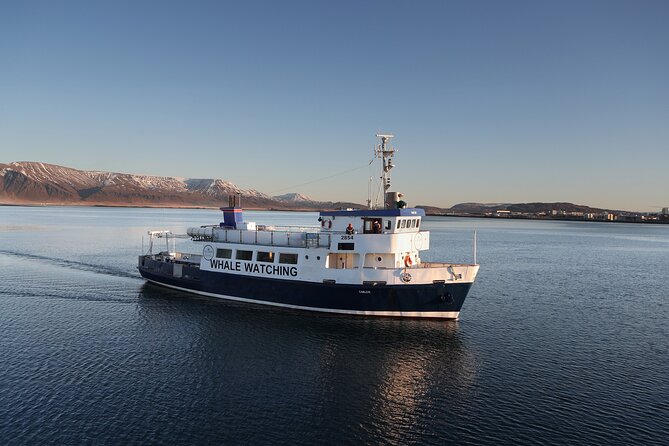 New Years Fireworks by Boat from Reykjavik - Should you book it?