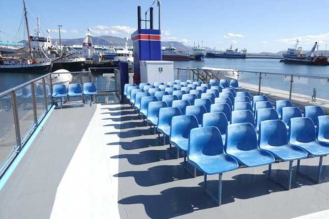 Northern Lights Boat Cruise from Reykjavik - Faxaflói Bay cruising, whale-spotting, and Reykjavik views from the water