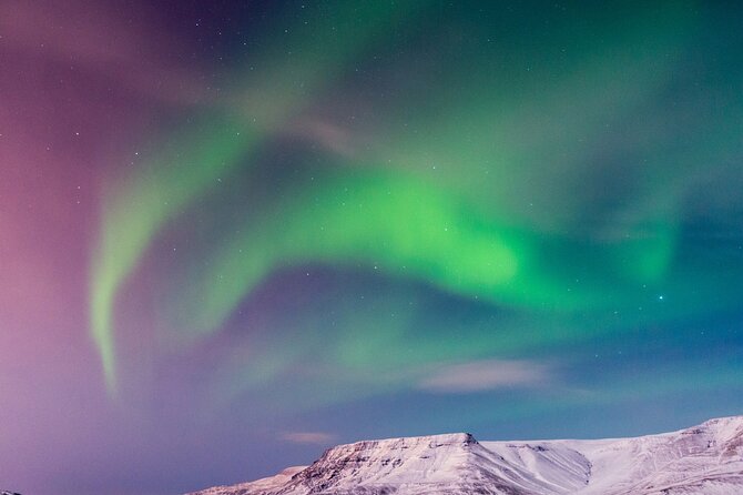 Northern Lights Boat Cruise from Reykjavik - Price and value: is $78 worth it for a 2-hour hunt?