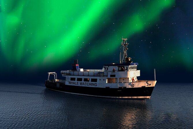 Northern Lights Boat Cruise from Reykjavik - The actual northern lights search, and what to do when they’re faint