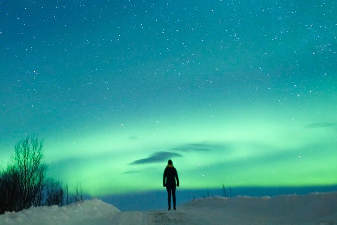 Northern Lights Bus Tour from Reykjavik with Hot Chocolate - Who This Tour Fits Best, and When to Consider a Smaller Group