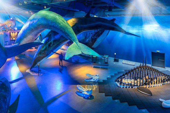 Northern Lights by Boat with a Backup Plan from Reykjavik - Group size, crowding, and choosing your spot on deck