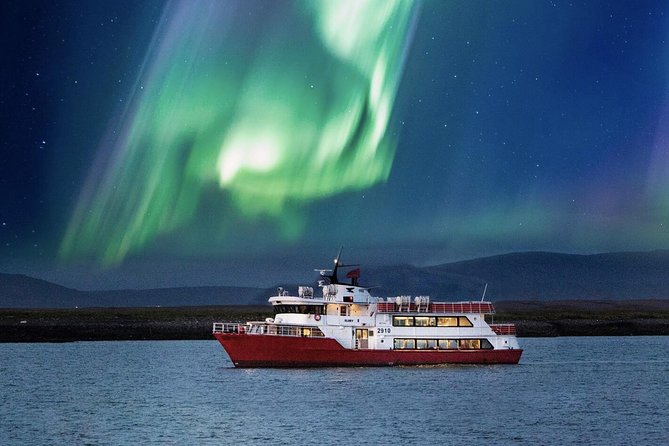 Northern Lights Cruise from Downtown Reykjavik - Quick takeaways