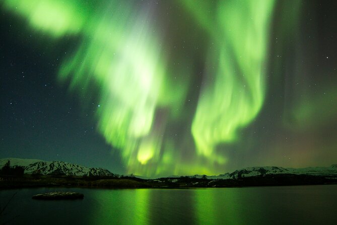 Northern Lights Cruise from Reykjavik - Why this Reykjavik aurora cruise can be worth $93