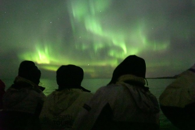 Northern Lights Cruise from Reykjavik Including Photos - Chance of Seeing Lights: How This Cruise Tries to Improve Your Odds