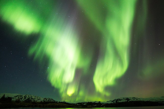 Northern Lights Cruise from Reykjavik - Meeting Reykjavik Sailors at Geirsgata 11, and the one rule that matters
