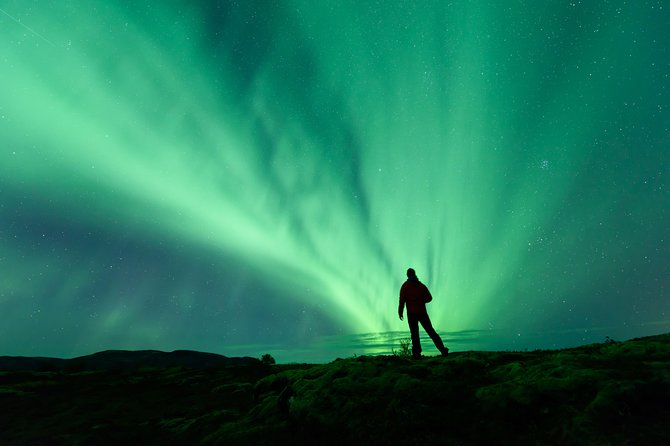 Northern Lights Guided Bus Tour from Reykjavik - Key Things I’d Pay Attention To