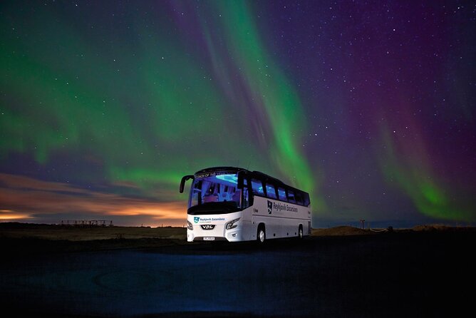 Northern Lights Guided Bus Tour from Reykjavik - Price and Value: Is $73 Worth It for the Aurora Chances?