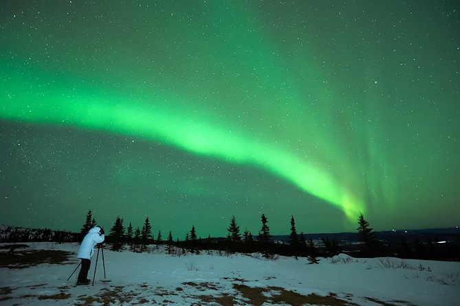 Northern Lights Tour from Reykjavik with Lifetime Guarantee - Key Things That Make This Northern Lights Tour Work