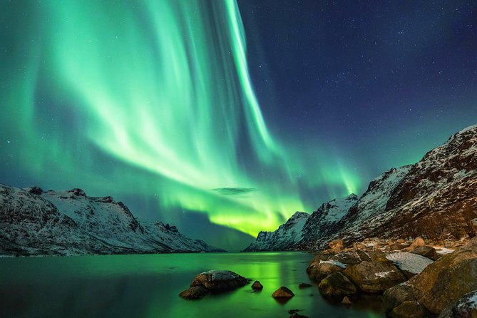 Northern Lights Tour from Reykjavik with Lifetime Guarantee - Northern Lights from Reykjavik, with a lifetime reschedule safety net
