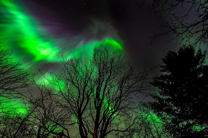 Northern Lights Tour from Reykjavik with Lifetime Guarantee - Meeting point vs hotel pickup: know where you need to be