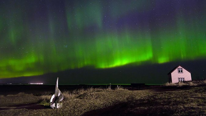Northern Lights Tour from Reykjavik with Lifetime Guarantee - What the 3-hour nighttime outing is like, step by step