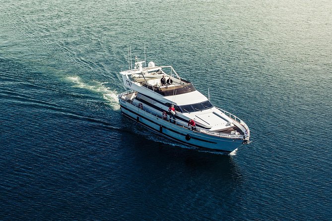 Northern Lights Yacht Cruise - Comfort onboard: bar, café, Wi-Fi, blankets, and bathrooms