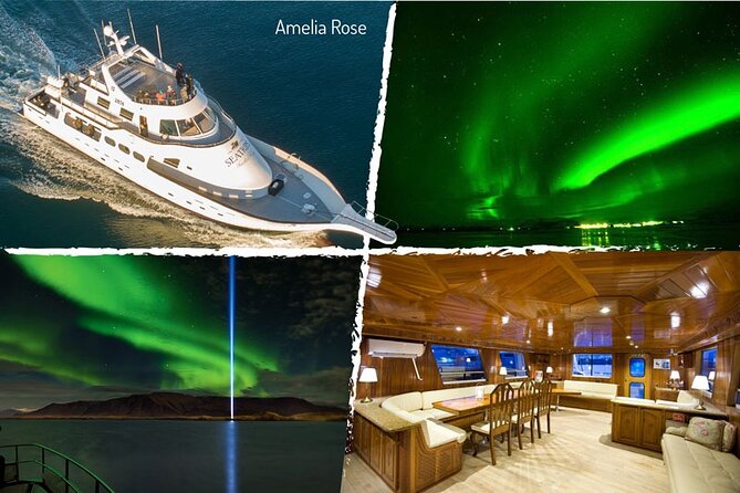 Northern Lights Yacht Cruise in Reykjavik - Price, Group Size, and When to Book