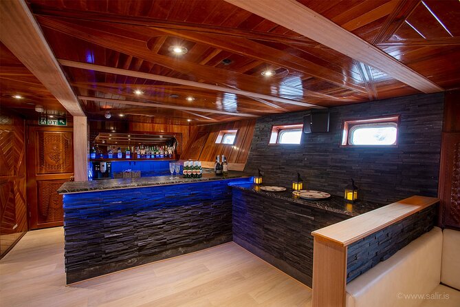Northern Lights Yacht Cruise in Reykjavik - Tips to Take Better Aurora Photos From a Rocking Deck