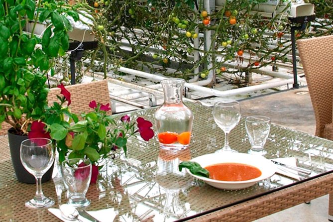 Private Golden Circle, Sky Lagoon and Friðheimar Greenhouse Lunch - Who this tour is perfect for, and who should look elsewhere