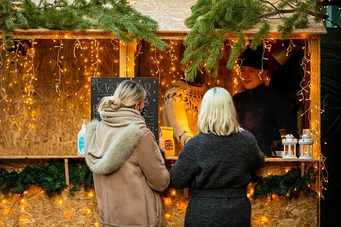 Private Reykjavik Christmas Walking Tour - Who should book this Christmas walking tour