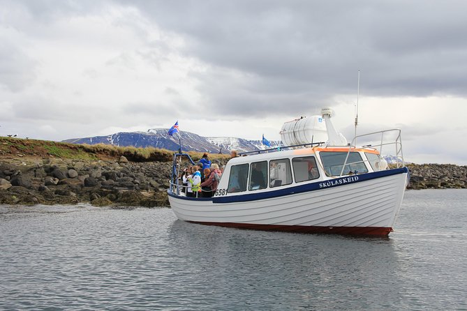 Puffin Cruise with Expert Tour Guide from Reykjavik - The Cruise Itself: Express Boat, Circular Views, Peaceful Moment