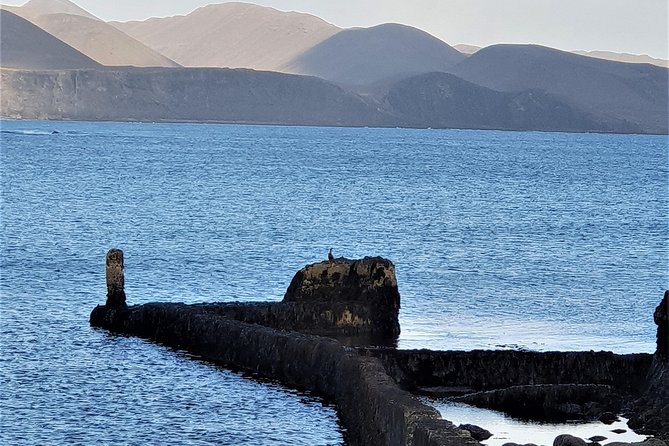 Puffin Travel choice - We decide where to go. Do it like locals - Reykjavik pickup, onboard Wi-Fi, and why “getting there” matters