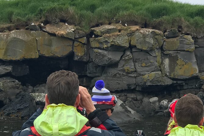 Puffin Watching Speedboat Express - Who should book this puffin speedboat, and who might skip it