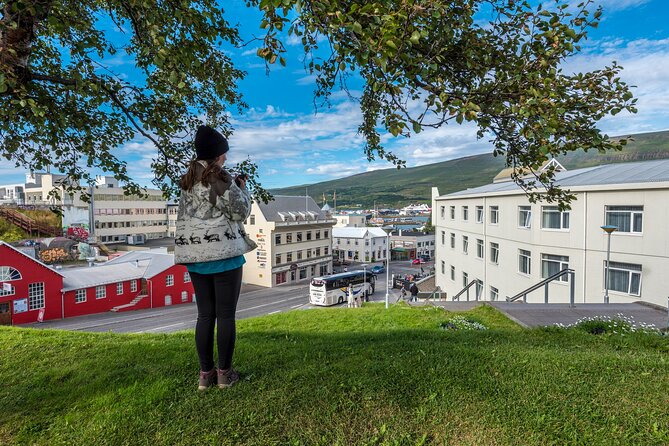Revel in Reykjavik: Unveiling Iceland’s Charismatic Capital - Starting at Reykjavík City Hall, then getting your bearings fast