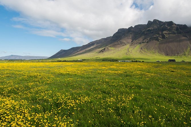 Reykjanes peninsula - Private and flexible with up to eight