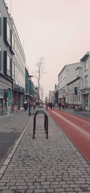 Reykjavik City Private Tour: Perlan, Arbaer & City Landmarks - Key points at a glance
