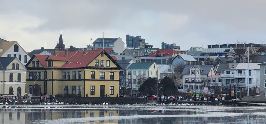Reykjavik City Private Tour: Perlan, Arbaer & City Landmarks - The quick photo-stop walk that helps you read the city