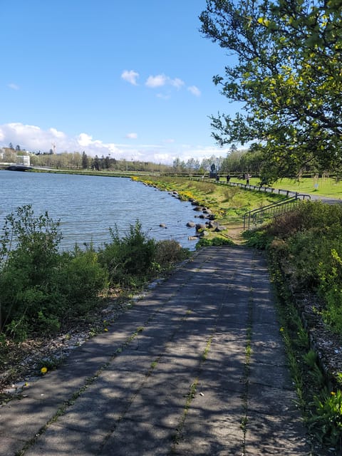 Reykjavik City Private Tour: Perlan, Arbaer & City Landmarks - Transport, timing, and using the day efficiently