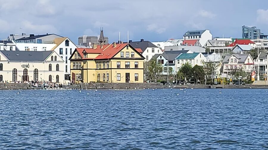 Reykjavik City Private Tour: Perlan, Arbaer & City Landmarks - Who this tour fits best, and who should look elsewhere