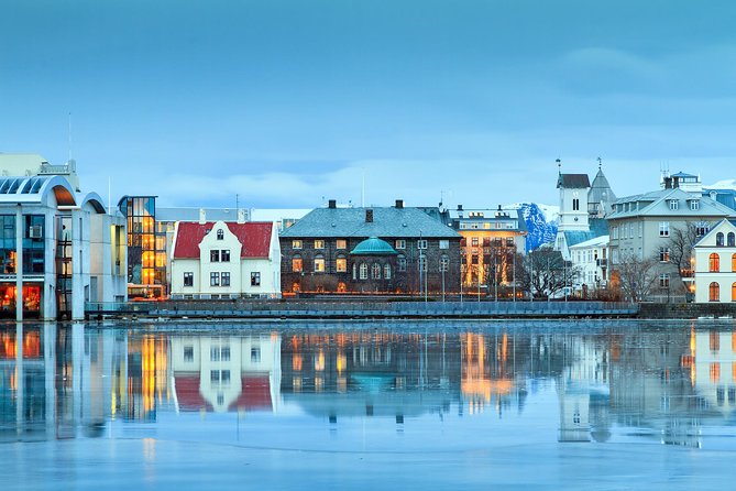 Reykjavik City Walking Tour - Tjörnin pond geese and swans, plus Reykjavik’s timeline