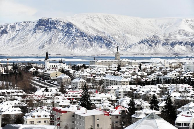 Reykjavik City Walking Tour - Einar Jónsson Museum and Sculpture Park: art that you can walk through