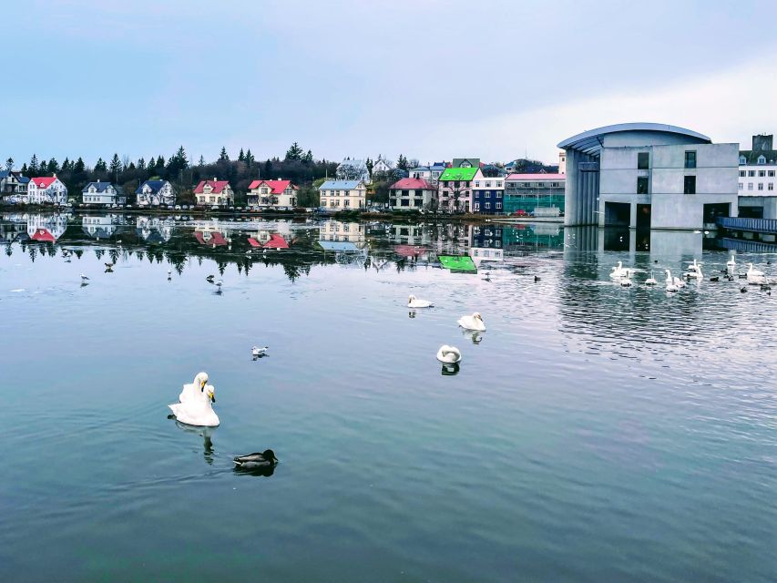 Reykjavik: City Walking tour in Small Group with Local Guide - Price and value: is $51 fair for this route?
