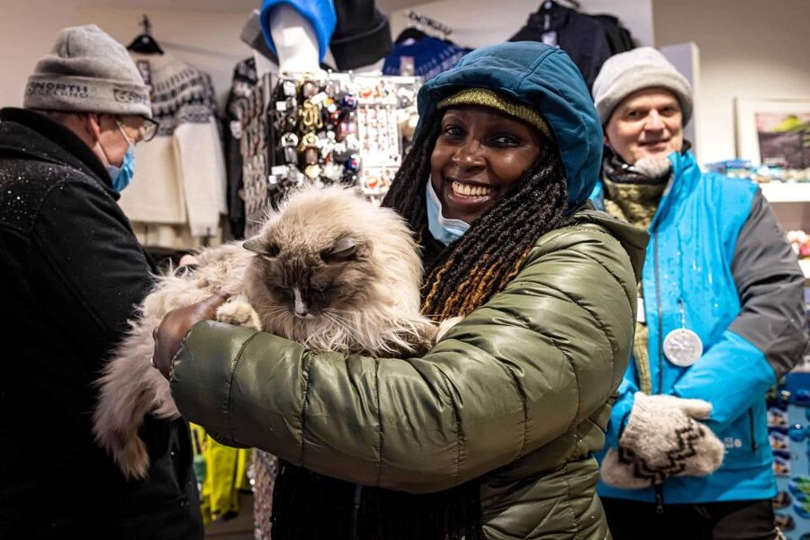 Reykjavik: Feline-Focused City Walking Tour - Kattakaffihúsið: Coffee, Icelandic Pastry, and Real Cat-Café Time