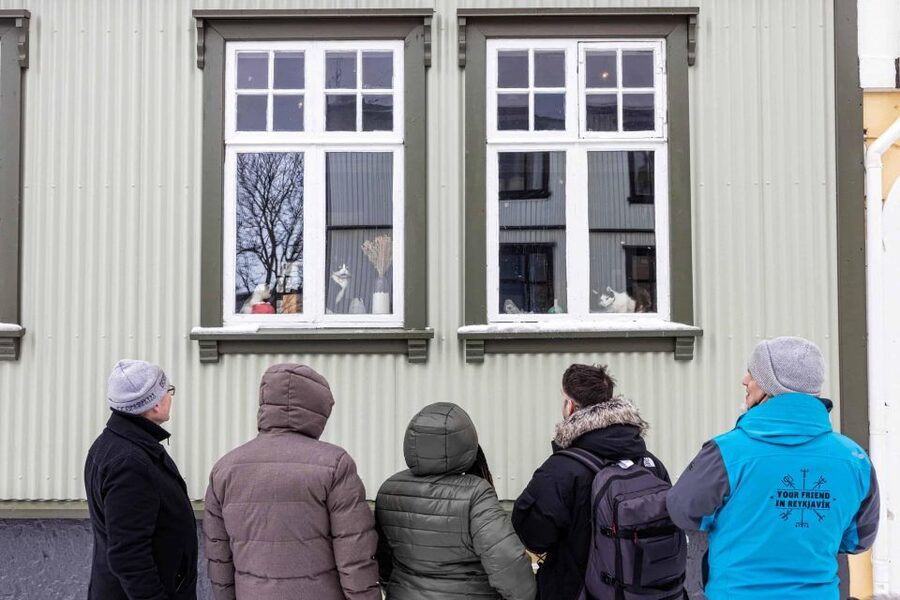 Reykjavik: Feline-Focused City Walking Tour - Hallgrimskirkja Area Pass-By, Einar Jónsson Museum, and a Photo-Friendly Finale