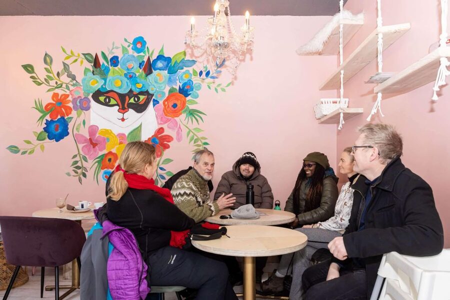 Reykjavik: Feline-Focused City Walking Tour - Who This Tour Is For (and Who Might Skip It)