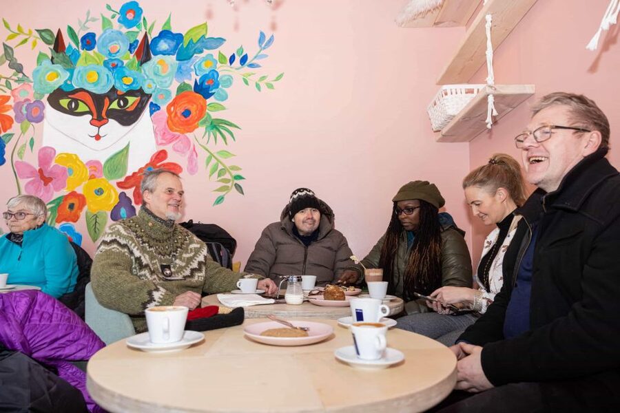 Reykjavik: Feline-Focused City Walking Tour - Price and Value: Is $74 Worth It?