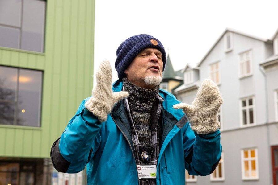 Reykjavik: Feline-Focused City Walking Tour - Lake Tjörnin, Downtown Stops, and How the Route Keeps You Comfortable