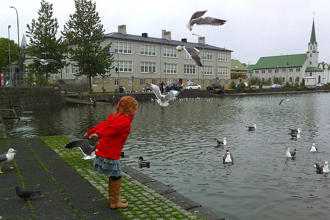 Reykjavik Food Tour and City Walk - PRIVATE TOUR - The Guide Experience, Especially in a Private Format