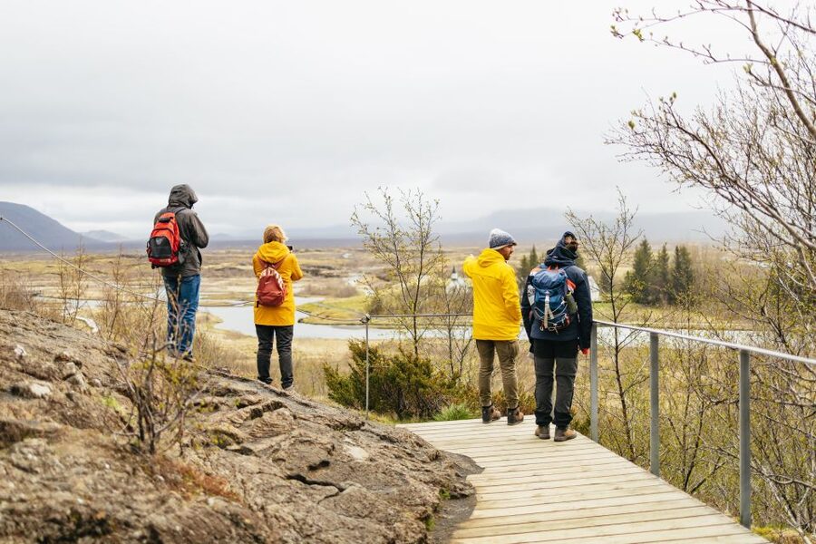 Reykjavik: Golden Circle, Crater & Blue Lagoon Minibus Tour - Timing, rest breaks, and how to handle an 11-hour day