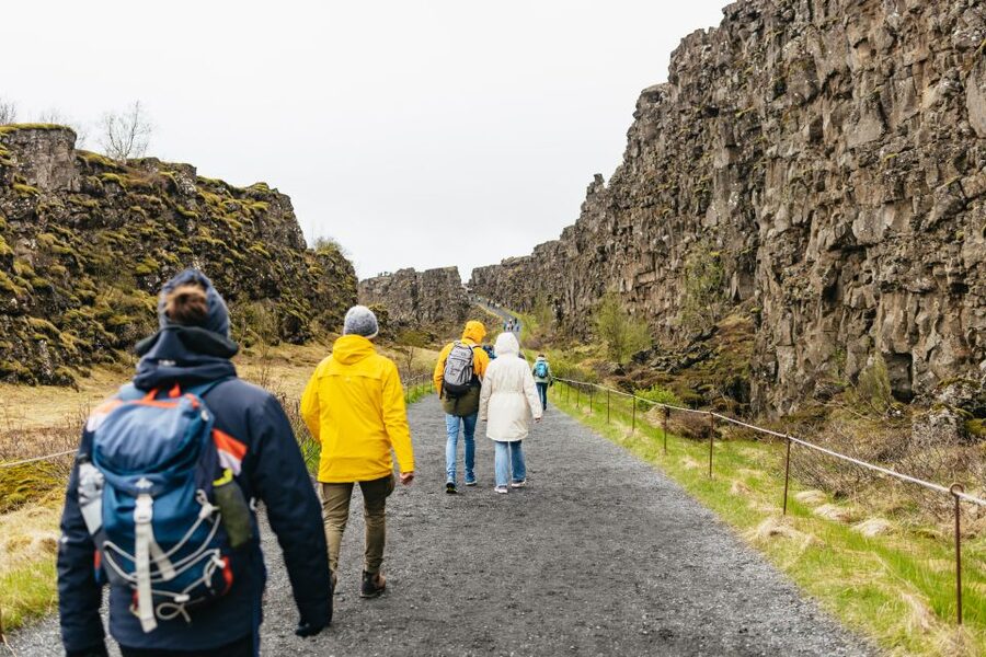 Reykjavik: Golden Circle, Crater & Blue Lagoon Minibus Tour - Þingvellir National Park: tectonic drama in 45 minutes