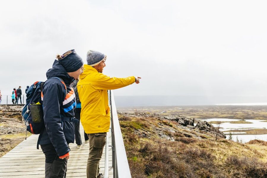 Reykjavik: Golden Circle, Crater & Blue Lagoon Minibus Tour - Gullfoss: the waterfall that earns the hype