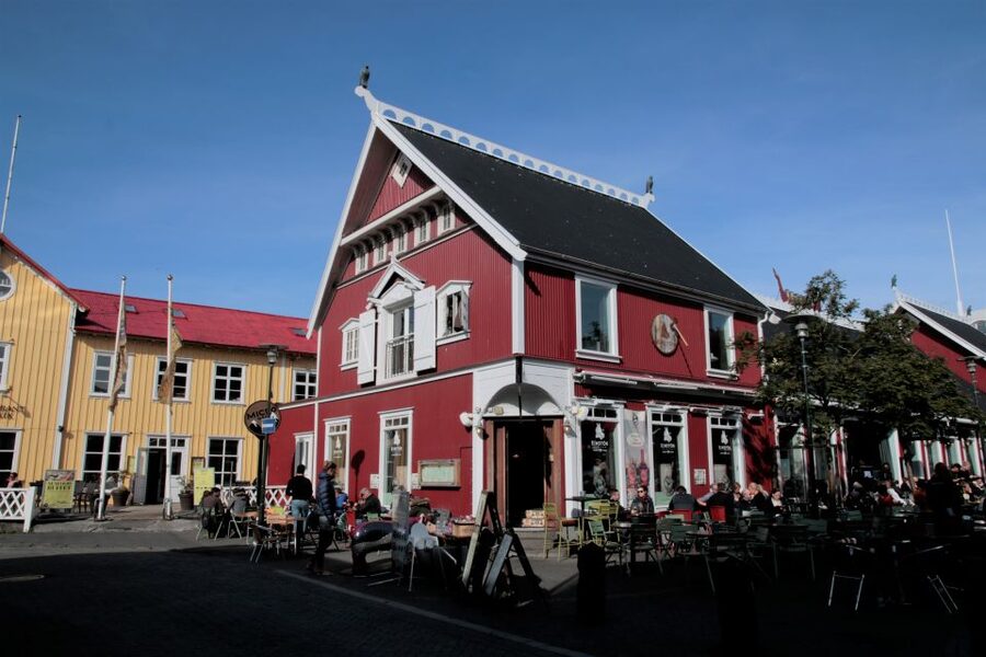Reykjavik: Guided City Walking Tour - Arnarholl Hill and Ingolfur Arnarson, where the story begins