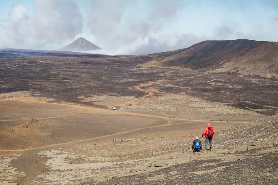 Reykjavik: Guided Tour to Volcano and Reykjanes Geopark - Key highlights worth knowing