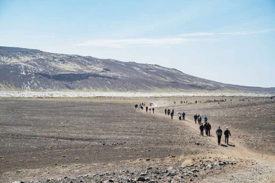 Reykjavik: Guided Tour to Volcano and Reykjanes Geopark - Seltún Geothermal Area: mud, steam, and color up close