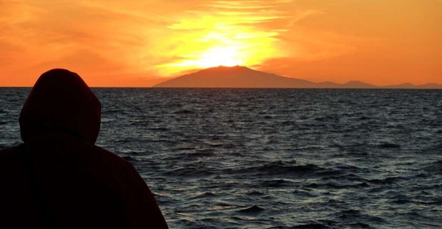 Reykjavik: Midnight Sun Whale Watching Tour - Key things to know before you go