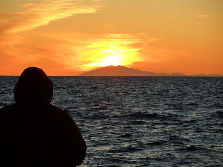 Reykjavik: Midnight Sun Whale Watching Tour - What you can realistically see in Faxafloi Bay